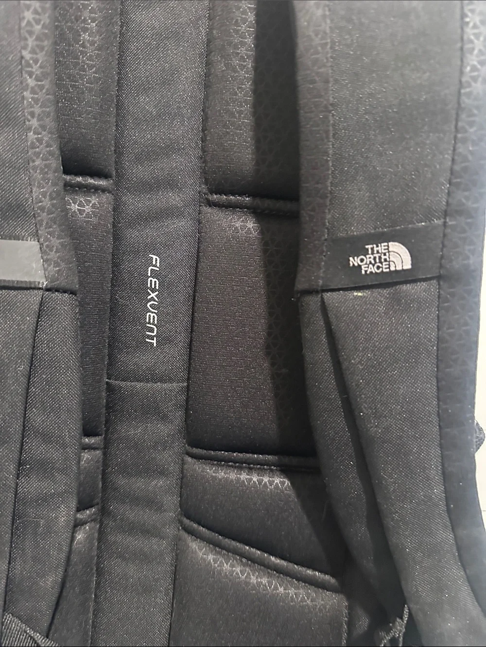 The North Face this popular